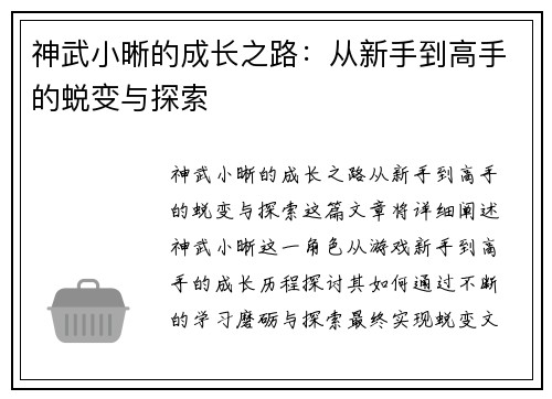 神武小晰的成长之路：从新手到高手的蜕变与探索